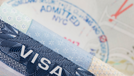 İrlanda Türk İşçi Vizesi